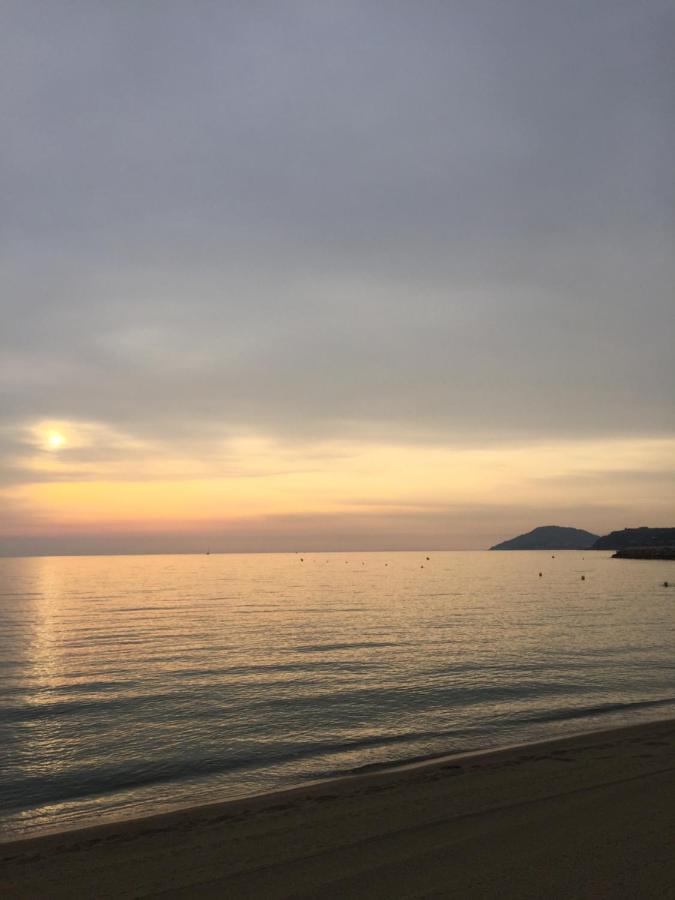 Apartament Les Pieds Dans Le Sable Argelès-sur-Mer Zewnętrze zdjęcie
