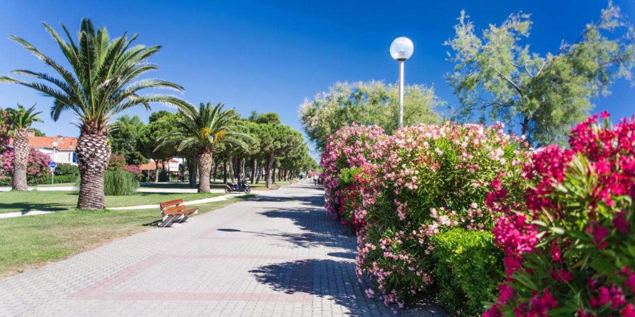 Apartament Les Pieds Dans Le Sable Argelès-sur-Mer Zewnętrze zdjęcie